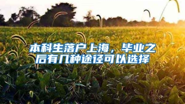 本科生落户上海，毕业之后有几种途径可以选择