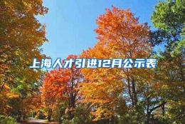 上海人才引进12月公示表