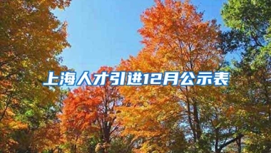 上海人才引进12月公示表