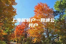 上海居转户一网通公共户