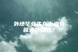 外地毕业生在上海有就业补贴吗？