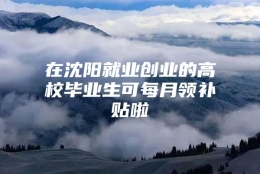 在沈阳就业创业的高校毕业生可每月领补贴啦