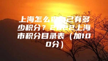 上海怎么查自己有多少积分？2022上海市积分目录表（加100分）