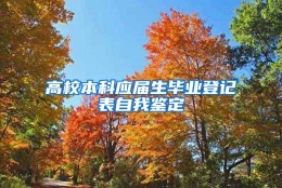 高校本科应届生毕业登记表自我鉴定