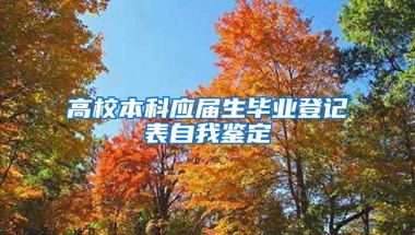 高校本科应届生毕业登记表自我鉴定