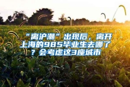 “离沪潮”出现后，离开上海的985毕业生去哪了？会考虑这3座城市