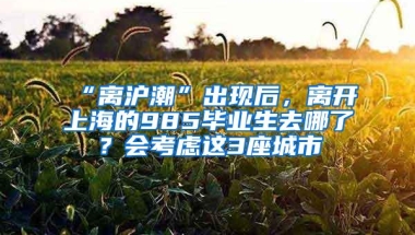 “离沪潮”出现后，离开上海的985毕业生去哪了？会考虑这3座城市