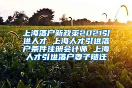 上海落户新政策2021引进人才 上海人才引进落户条件注册会计师 上海人才引进落户妻子随迁