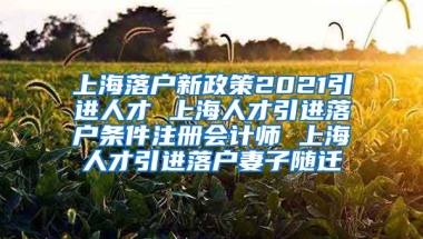 上海落户新政策2021引进人才 上海人才引进落户条件注册会计师 上海人才引进落户妻子随迁