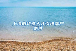 上海市特殊人才引进落户条件