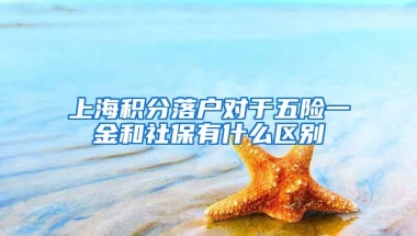 上海积分落户对于五险一金和社保有什么区别