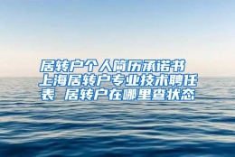 居转户个人简历承诺书 上海居转户专业技术聘任表 居转户在哪里查状态