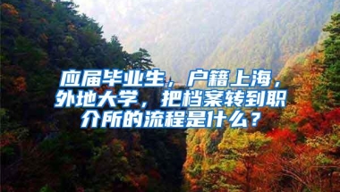 应届毕业生，户籍上海，外地大学，把档案转到职介所的流程是什么？