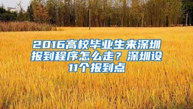 2016高校毕业生来深圳报到程序怎么走？深圳设11个报到点