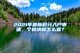 2021年最新积分入户申请，个税纳税怎么查？