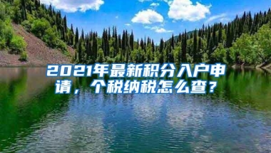 2021年最新积分入户申请，个税纳税怎么查？