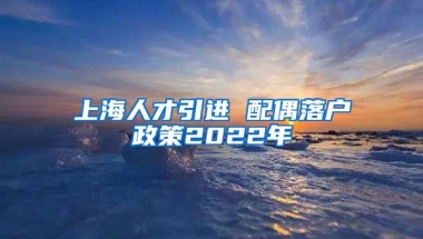 上海人才引进 配偶落户政策2022年