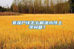 非深户该怎么解决小孩上学问题？