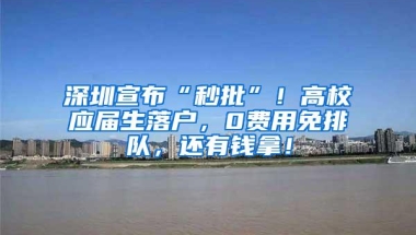 深圳宣布“秒批”！高校应届生落户，0费用免排队，还有钱拿！