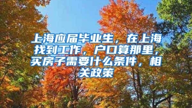 上海应届毕业生，在上海找到工作，户口算那里，买房子需要什么条件，相关政策