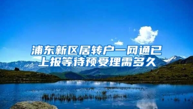 浦东新区居转户一网通已上报等待预受理需多久