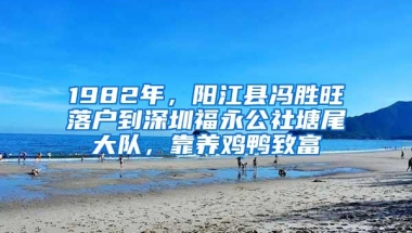 1982年，阳江县冯胜旺落户到深圳福永公社塘尾大队，靠养鸡鸭致富