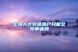 上海人才引进落户只能公司申请吗