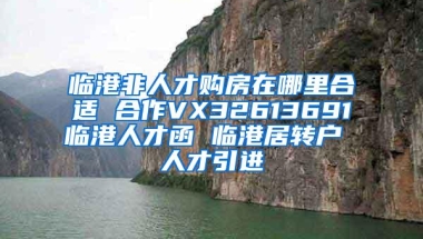 临港非人才购房在哪里合适 合作VX32613691临港人才函 临港居转户 人才引进