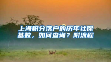 上海积分落户的历年社保基数，如何查询？附流程