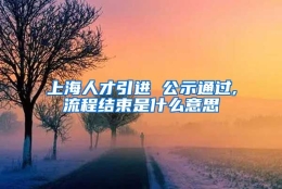 上海人才引进 公示通过,流程结束是什么意思