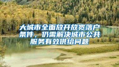 大城市全面放开放宽落户条件，仍需解决城市公共服务有效供给问题