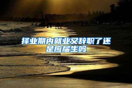 择业期内就业又辞职了还是应届生吗