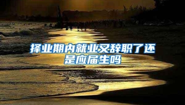 择业期内就业又辞职了还是应届生吗