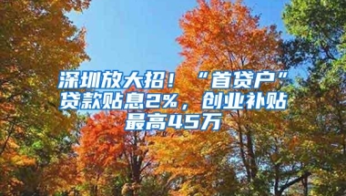 深圳放大招！“首贷户”贷款贴息2%，创业补贴最高45万