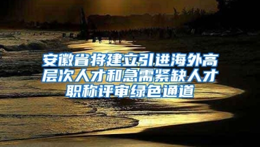 安徽省将建立引进海外高层次人才和急需紧缺人才职称评审绿色通道