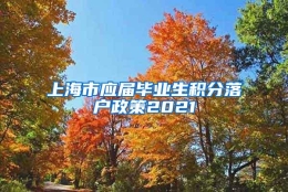 上海市应届毕业生积分落户政策2021