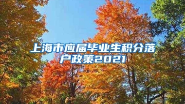 上海市应届毕业生积分落户政策2021