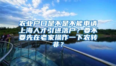 农业户口是不是不能申请上海人才引进落户？要不要先在老家操作一下农转非？