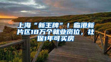 上海“新王牌”！临港新片区18万个就业岗位，社保1年可买房