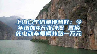 上海汽车消费传利好：今年增加4万张牌照 置换纯电动车每辆补贴一万元