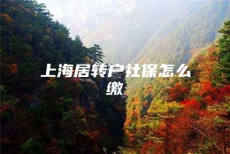 上海居转户社保怎么缴