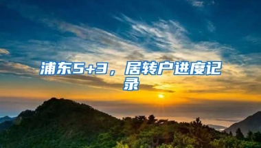 浦东5+3，居转户进度记录