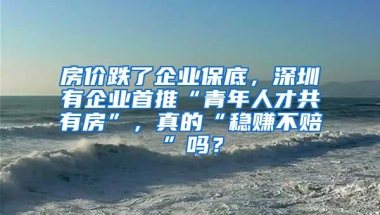 房价跌了企业保底，深圳有企业首推“青年人才共有房”，真的“稳赚不赔”吗？