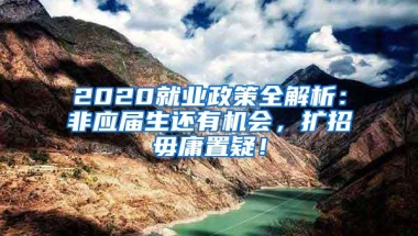 2020就业政策全解析：非应届生还有机会，扩招毋庸置疑！