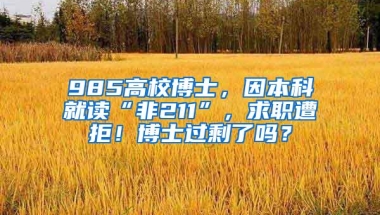 985高校博士，因本科就读“非211”，求职遭拒！博士过剩了吗？