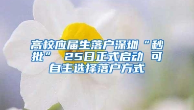 高校应届生落户深圳“秒批” 25日正式启动 可自主选择落户方式