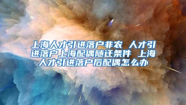 上海人才引进落户非农 人才引进落户上海配偶随迁条件 上海人才引进落户后配偶怎么办