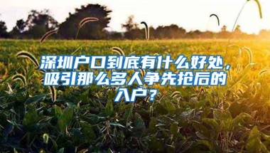 深圳户口到底有什么好处，吸引那么多人争先抢后的入户？