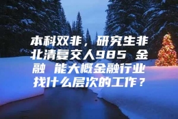 本科双非，研究生非北清复交人985 金融 能大概金融行业找什么层次的工作？