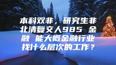 本科双非，研究生非北清复交人985 金融 能大概金融行业找什么层次的工作？